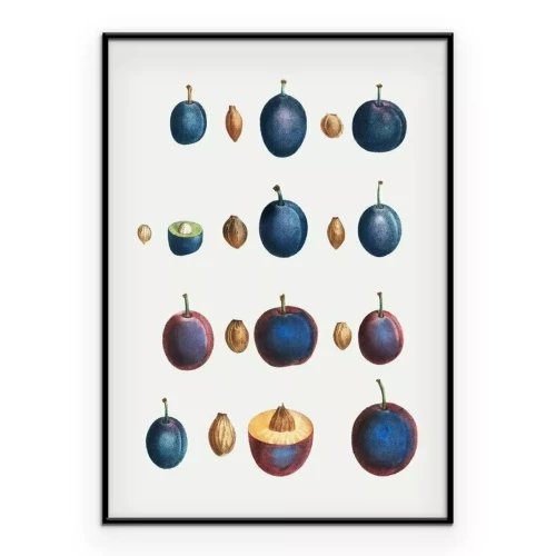 Poster  Prunes et noyaux