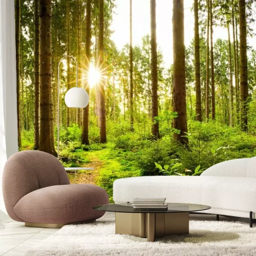 Papier peint  La verdure luxuriante de la forêt printanière