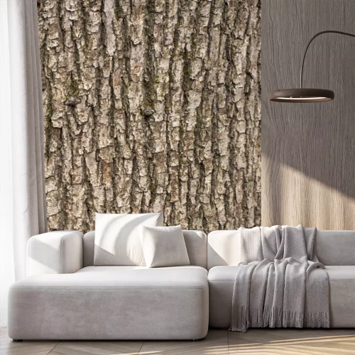 Sticker  Relief texture of the brown bark of a tree with green moss on it. Vertical photo of a tree bark texture. Relief creative texture of an old oak bark.