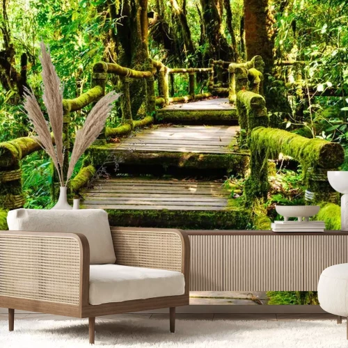 Papier peint  Escalier recouvert de mousse dans la forêt tropicale