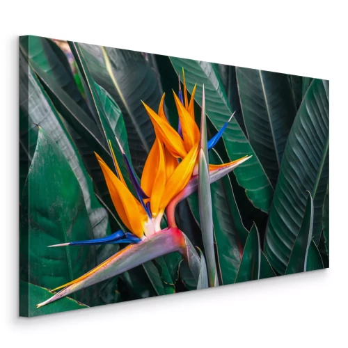 Tableau  Strelitzia tropical en fleur sur fond de feuilles vertes