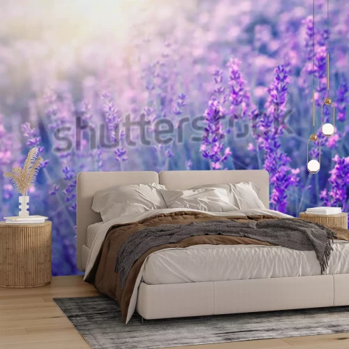 Sticker  Fleurs de lavande au soleil