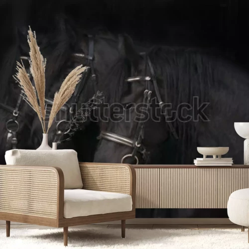 Papier peint  Chevaux frisons noirs