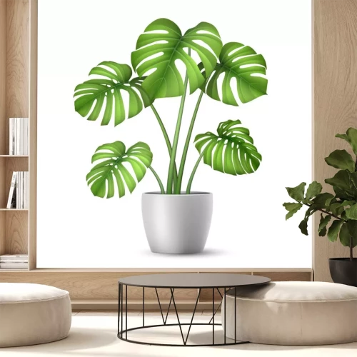 Sticker  Monstera in a flower pot isolated. Tropical plant for interior decor of home or office. Vector illustration in vector realistic 3d style.