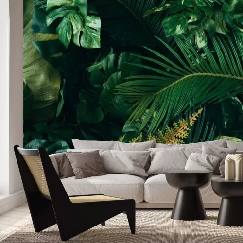 Papier peint  Plantes et nature exotique