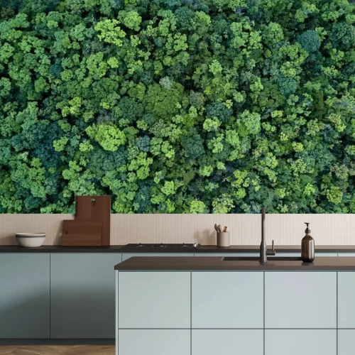 Sticker  Une forêt verte vue du ciel