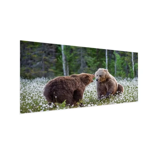 Visualisation du produit