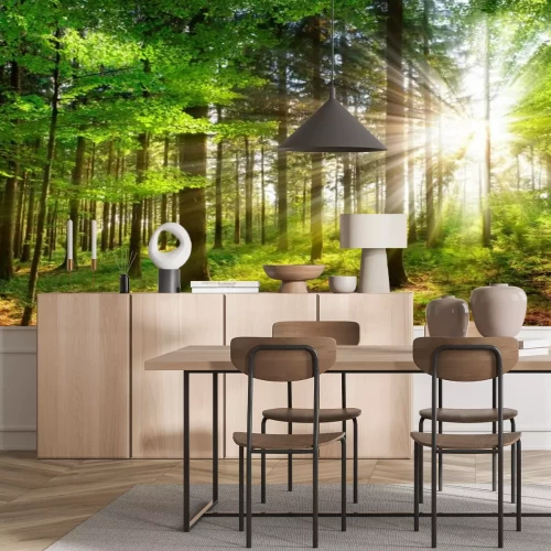 Papier peint  Rayons de soleil dans la forêt verte