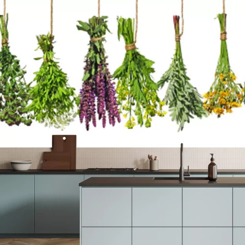 Papier peint  Bouquets d'herbes fraîches colorées sur fond blanc