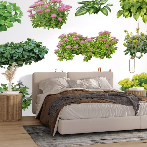 Sticker  Plante détourée (plantes vivaces, hortensia, euphorbe, sedum...)