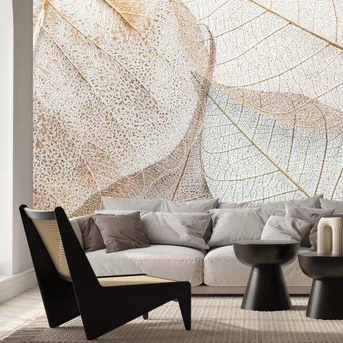 Papier peint  Feuilles blanches en gros plan