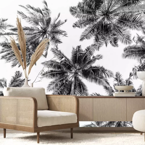 Papier peint  Tropical trees background concept. Beautiful exotic nature view, wonderful palm trees, looking up