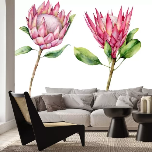Sticker  Watercolor two protea set. Hand painted pink flower illustration with leaves and branch isolated on white background. Nature botanical illustration for design, print. Realistic delicate plant.