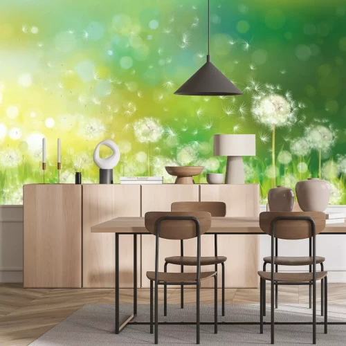 Papier peint  Pissenlits au vent sur fond vert