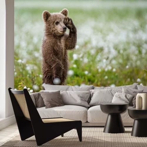 Papier peint  Ourson debout sur deux pattes