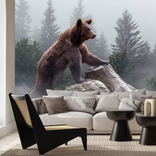 Papier peint  Ours brun dans une forêt brumeuse