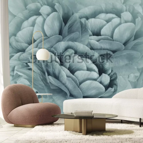 Papier peint  Gros plan d'une fleur turquoise