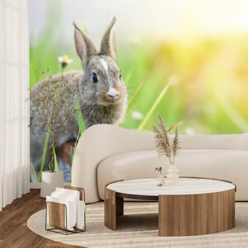 Sticker  Lapin dans une prairie verte