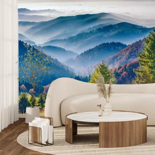 Papier peint  La nature à Schwarzwald