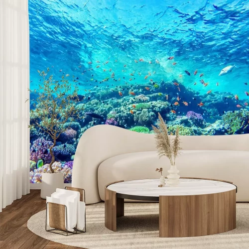 Papier peint  Eau turquoise et récif corallien