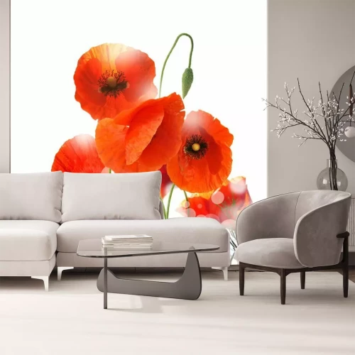 Papier peint  Coquelicots sur fond blanc