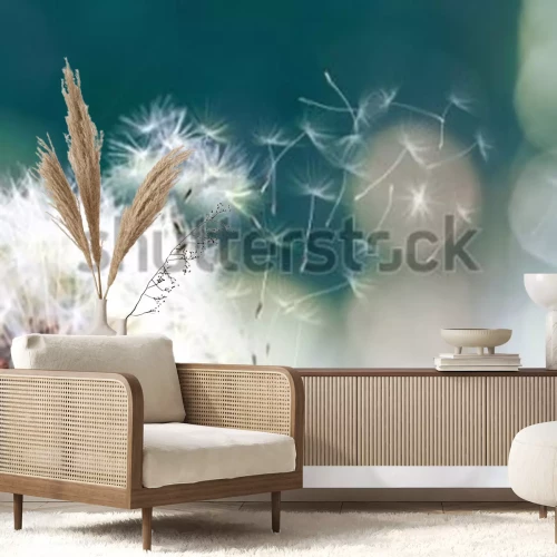 Papier peint  Pissenlit avec graines flottantes