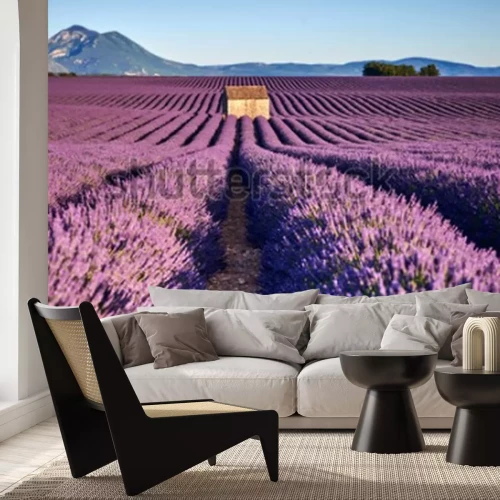 Papier peint  Champ en Provence