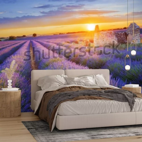 Papier peint  Champ de fleurs de lavande violettes