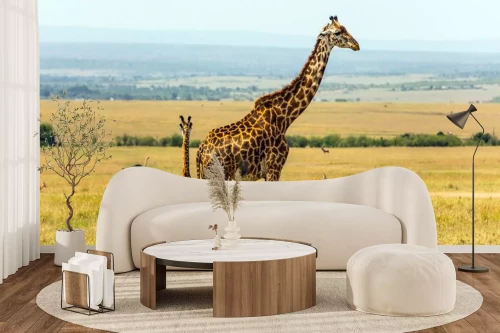 Visualisation du produit