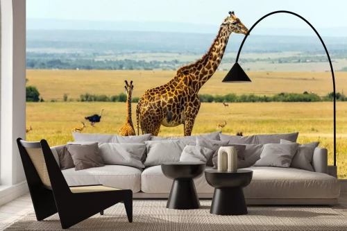 Visualisation du produit