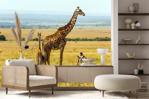 Visualisation du produit