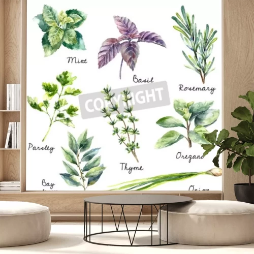 Sticker  Feuilles de plantes utilisées en cuisine