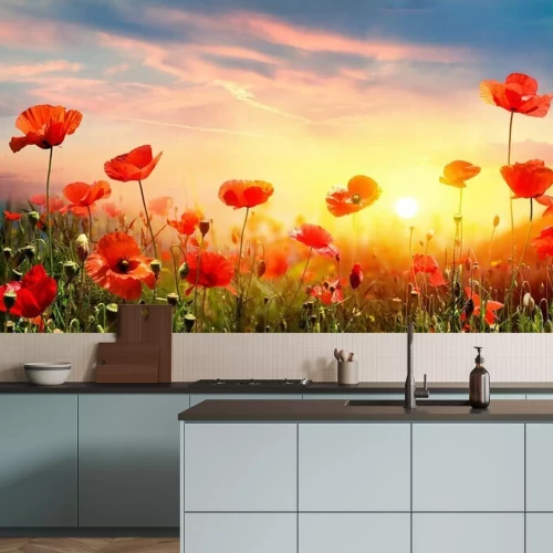 Papier peint  Poppies In Field At Sunset