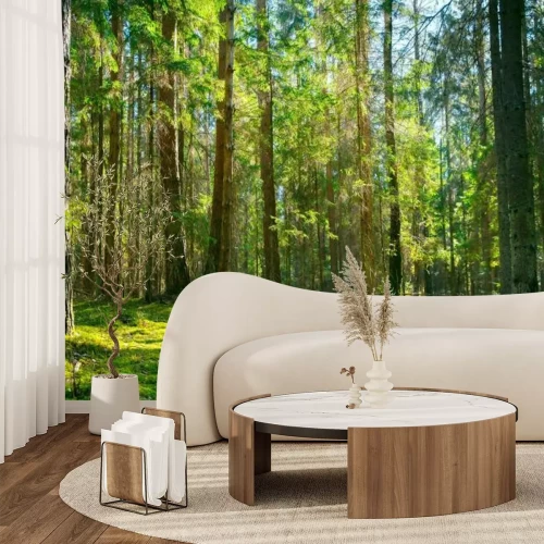 Papier peint  Paysage de clairière verte dans la forêt