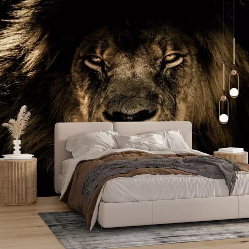 Papier peint  Portrait de lion crinière épaisse sur fond noir