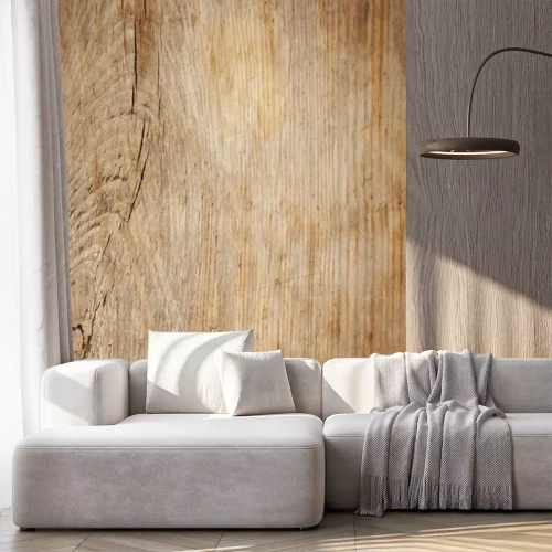 Papier peint  Fond vieux bois