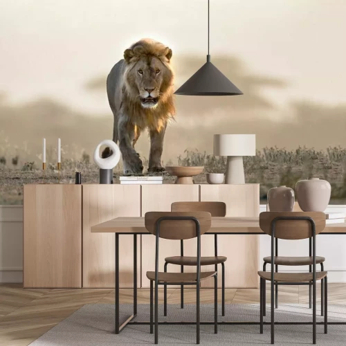 Papier peint  Lion dans la savane