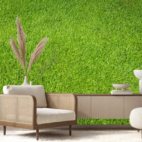 Papier peint  Une pelouse verte vue d'un oiseau