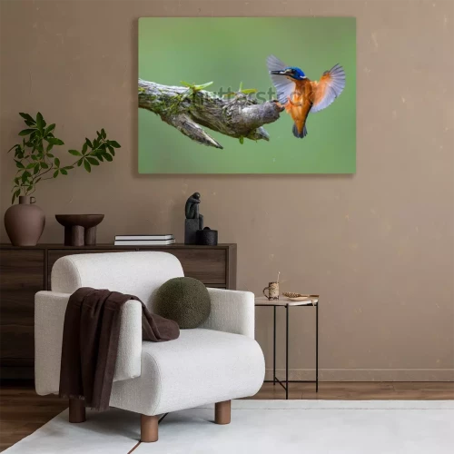 Visualisation du produit