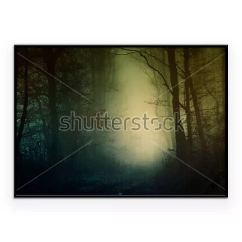 Poster  Une forêt sombre au crépuscule, avec une lueur vive en son centre.