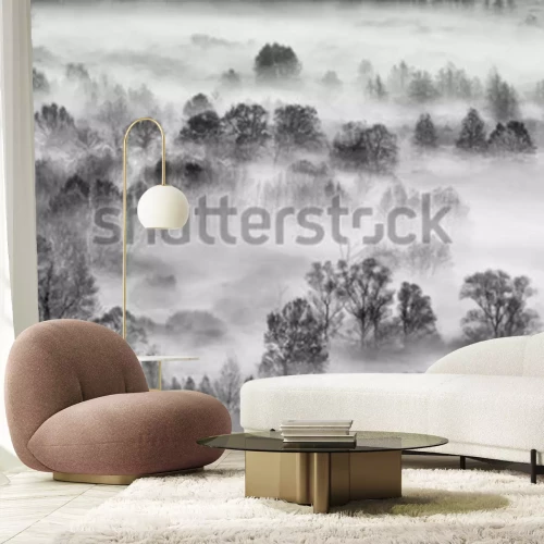 Sticker  Paysage noir et blanc, la forêt brumeuse, Italie