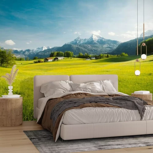 Papier peint  Prairie verte et montagnes