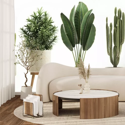 Papier peint  Plantes en pot sur fond de mur