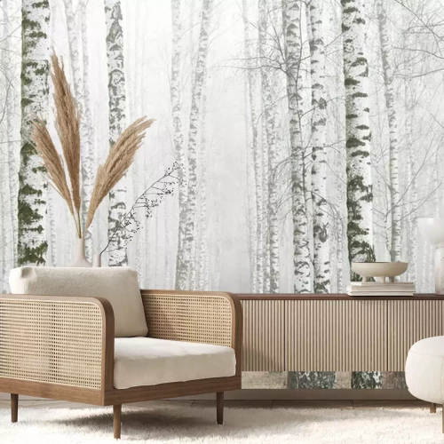 Papier peint  Young birches with black and white birch bark in spring in birch grove against background of other birches in foggy weather 