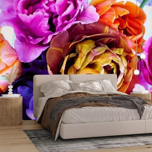 Papier peint  Colorful tulips in vintage style