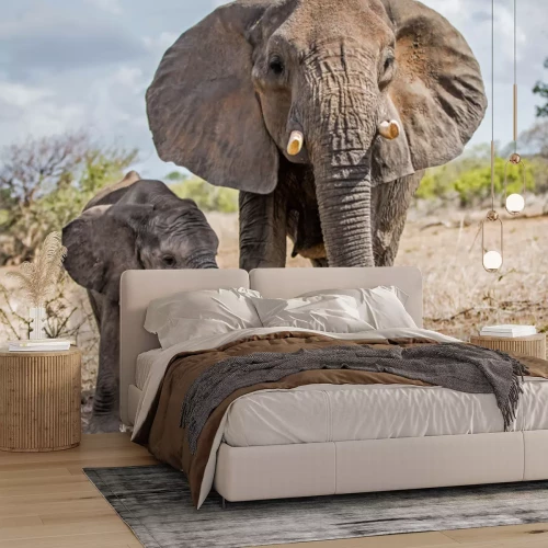 Papier peint  Eléphants au parc national Kruger