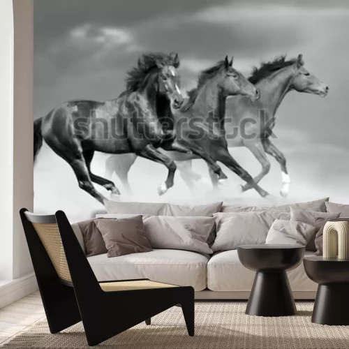 Papier peint  Chevaux au galop dans la poussière