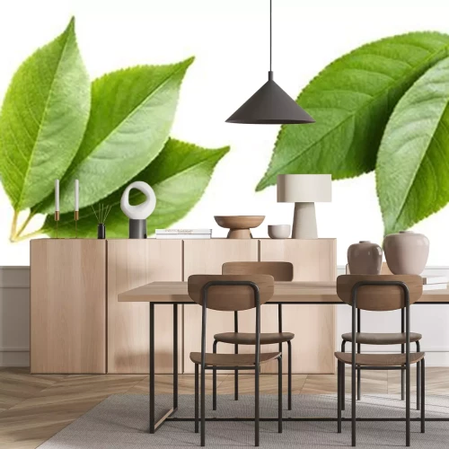 Sticker  Set of green leaves, isolated on white background