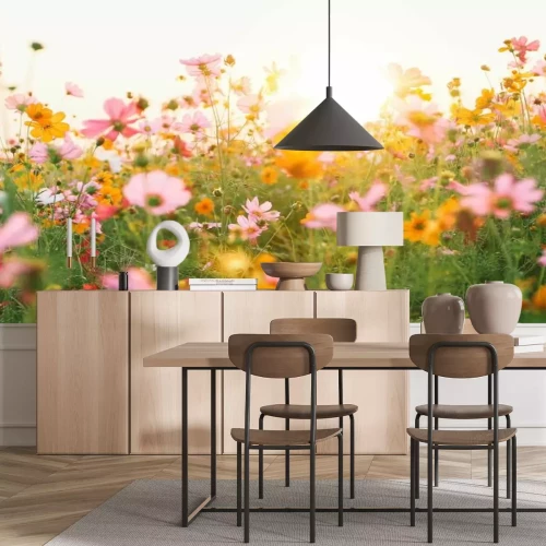 Papier peint  Champ de fleurs de cosmos par une journée ensoleillée