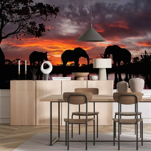 Papier peint  Eléphants noirs